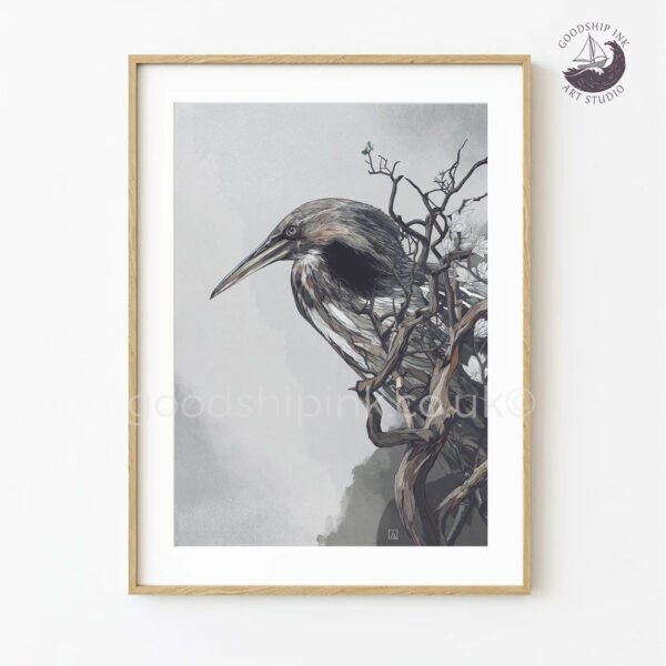 Bittern Art Print — Limited Edition Giclée Print, Hand-Drawn Bird Illustration