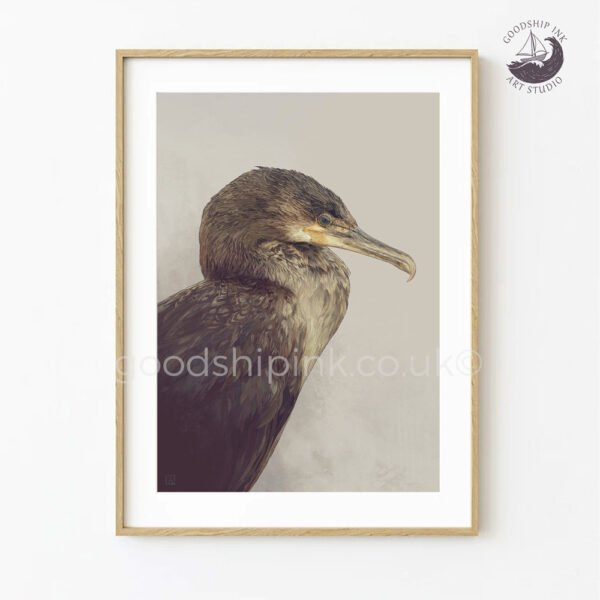 Bird Illustration of a Cormorant. Hand drawn by Andrew Goodship.