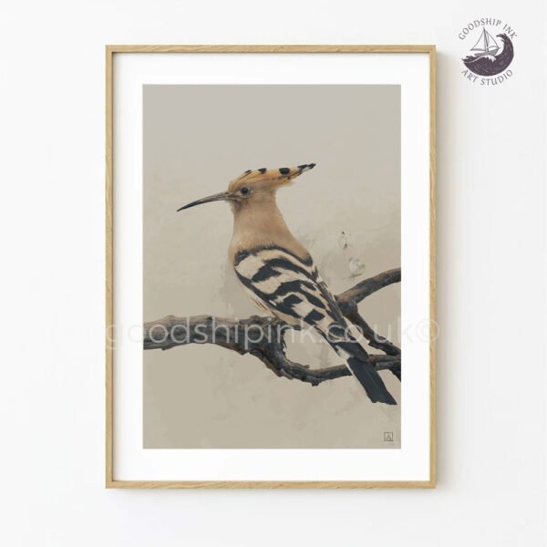 Hoopoe bird art print in a frame by Andrew Goodship