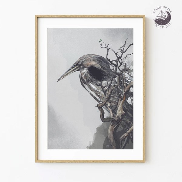 Bittern Art Print — Limited Edition Giclée Print, Hand-Drawn Bird Illustration