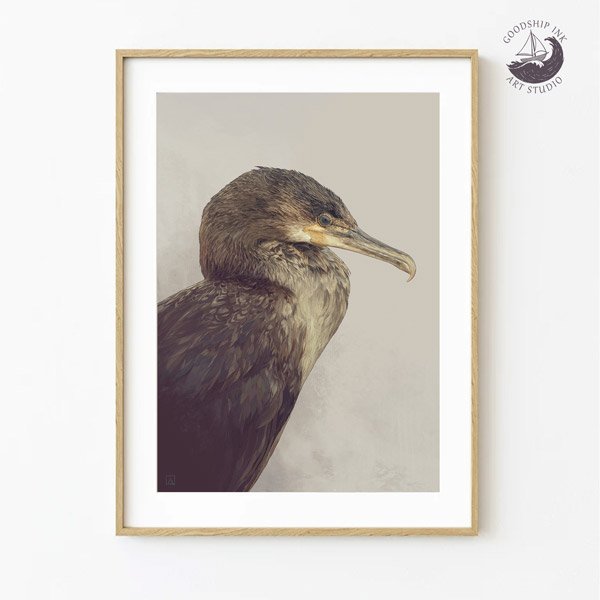 Bird Illustration of a Cormorant. Hand drawn by Andrew Goodship.
